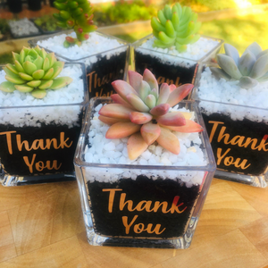 Thank You Planter-Narelle's Arts & Crafts